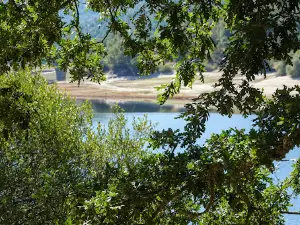 Playa fluvial de O Coiñedo