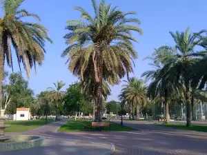 Football Field