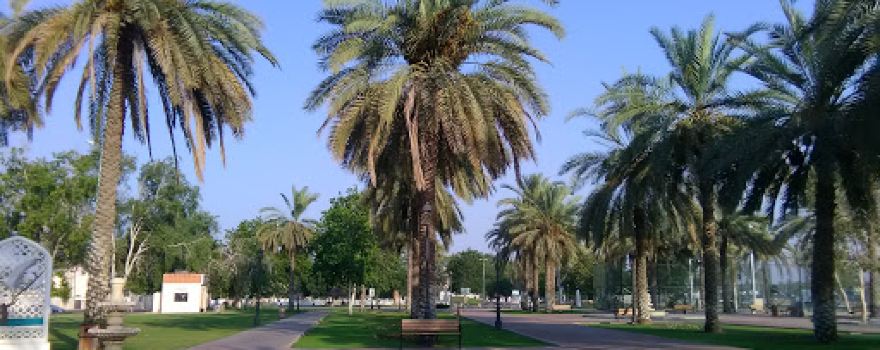 Football Field