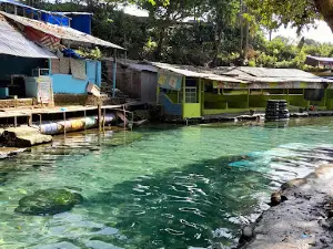 Pemandian Mata Air Karang Anyar