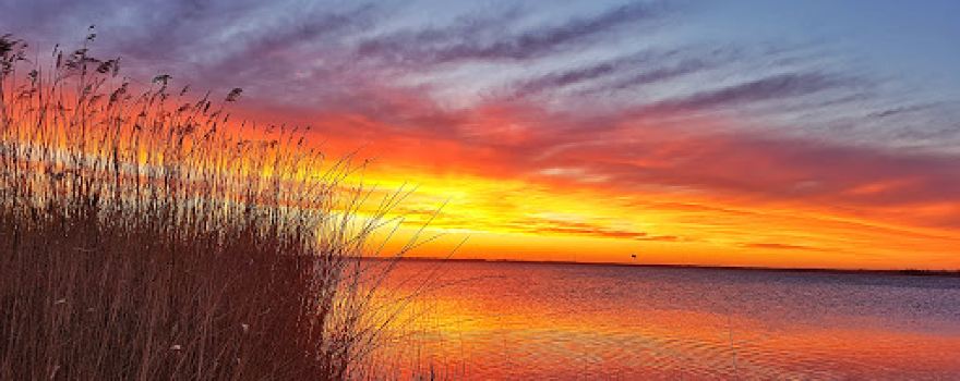 Bodstedter Bodden