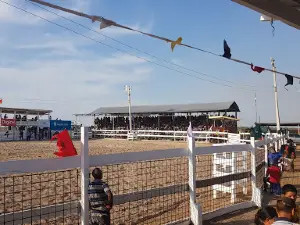LETHEM RODEO GROUND