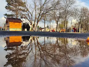 Parcul Dumbrava