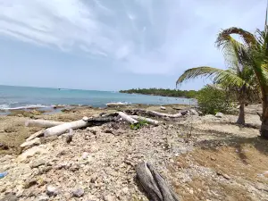 Isla Fuerte