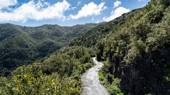 Xplore Tenerife Kayaking
