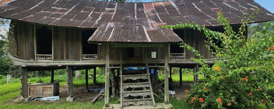 Tree House Inyiak