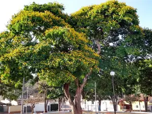 Praça Dos Municípios
