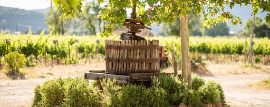 Domaine des Peirecedes