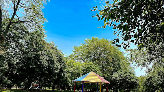 Changa Manga Forest Park