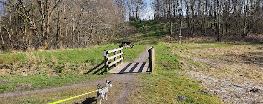 Hoddlesden Milenium Green And Woodland Walk