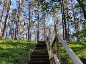 Oandu-Võsu matkarada