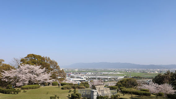 Tosu