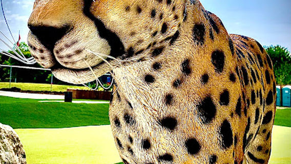 Putting Zoo