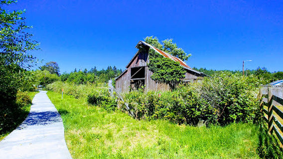 Janes Creek Meadows Park