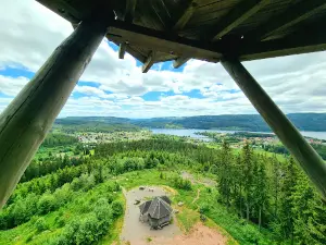 Riesenbühlturm