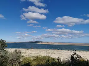 Dog Beach - Inverloch