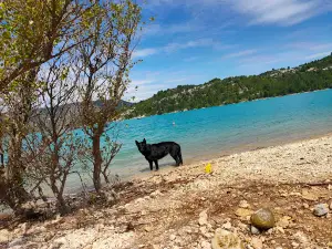 Camping le Galetas