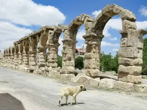 Roman Pool