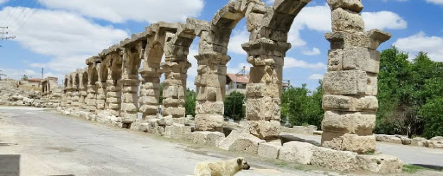 Roman Pool