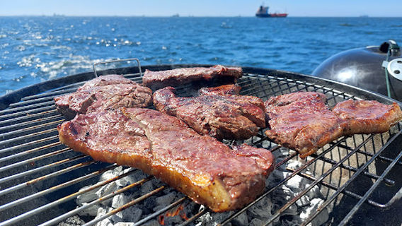 Catamaran Dolphin Cruises