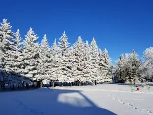 Buckingham Park