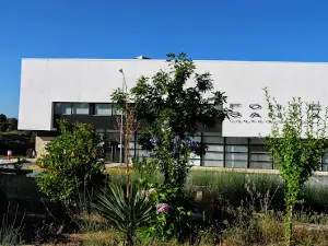 Termas de Almeida Fonte Santa