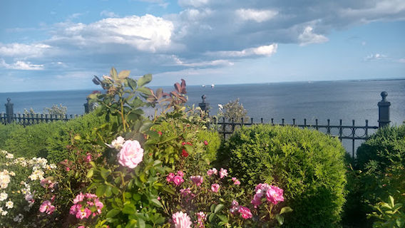 Duluth Rose Garden