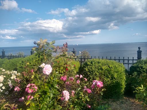 Duluth Rose Garden