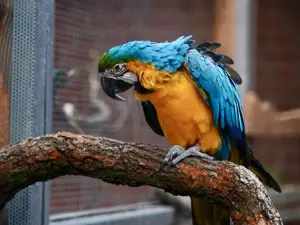 Wildpark Weißewarte