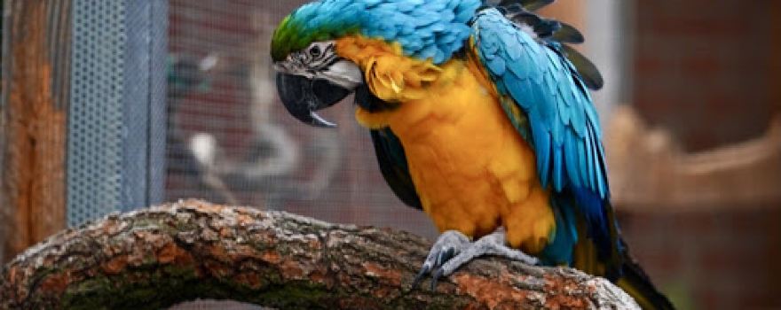 Wildpark Weißewarte