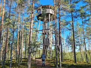 Katselmus Observation Tower