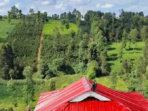 KUNGU MAITU GARDENS