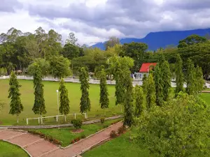 Masjid Agung Al-Munawwarah