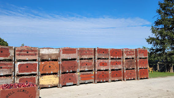 Maxwell Acres Ltd Farm Market