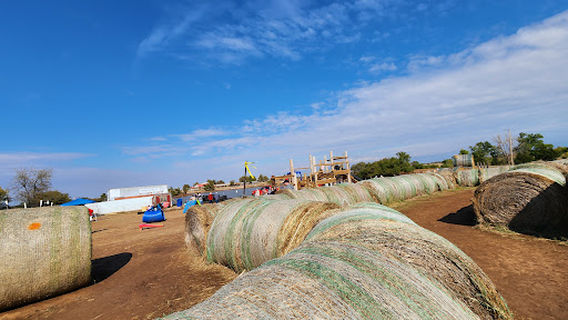 Chester's Party Barn & Farm