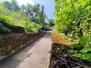 Bawangaja