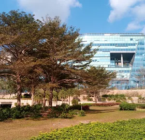 Cyberport Waterfront Park