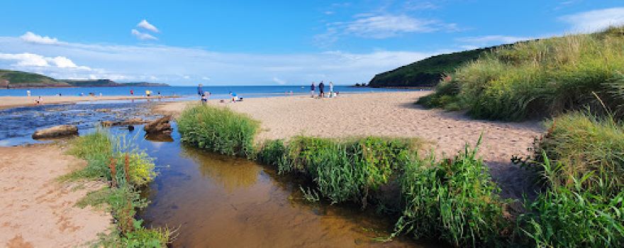 Freshwater East Local Nature Reserve