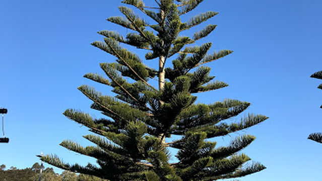 Waterfront Playground