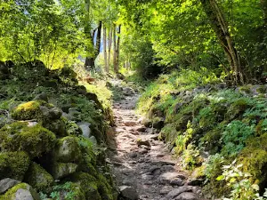 Cascade De La Muzelle