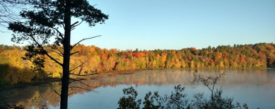 Back Bay Campground & Cottages