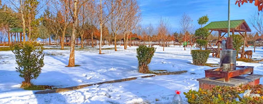 Nursery Picnic Area