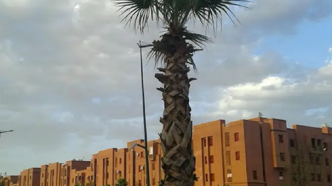 Mosquée Haj mouhamed Nafikh Al Azrak