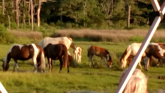 Daisey's Island Cruises - Boat Departure