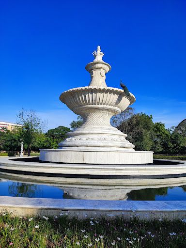 City Park Kota (Official)