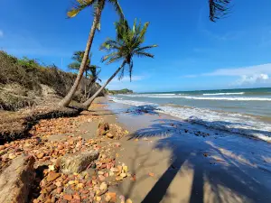 Chatham Beach /Erin Bay