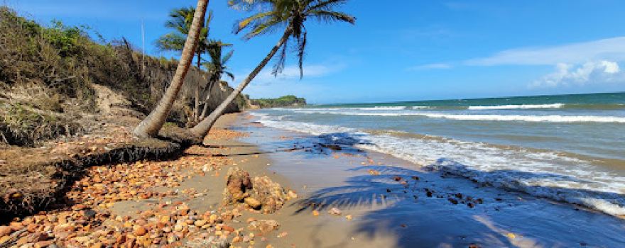 Chatham Beach /Erin Bay