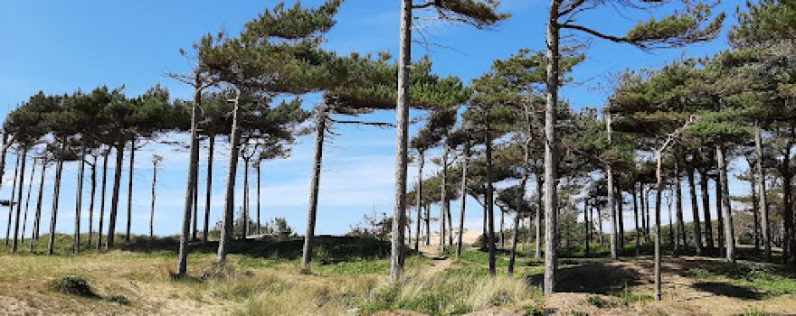 National Trust - Formby