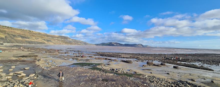 Mary Anning Rocks Statue