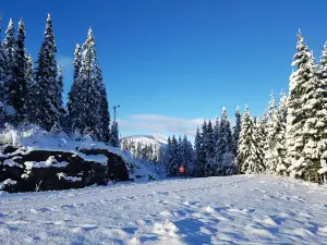 Voss ski- og tursenter